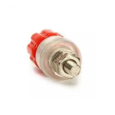 4mm Born Jak Şeffaf Kırmızı-35x13mm - 3 data-big=