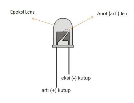 RLD3C17-1750_1.jpg (14 KB)