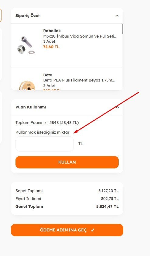 Robolink Puan Sistemi