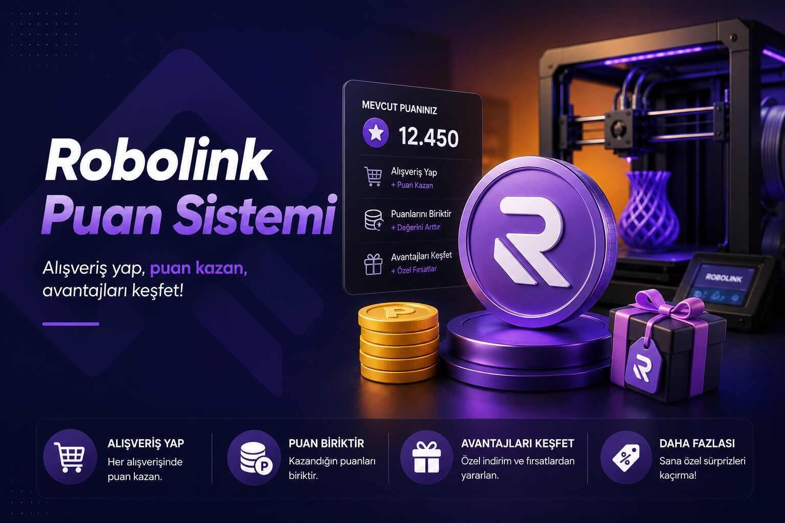 Robolink Puan Sistemi