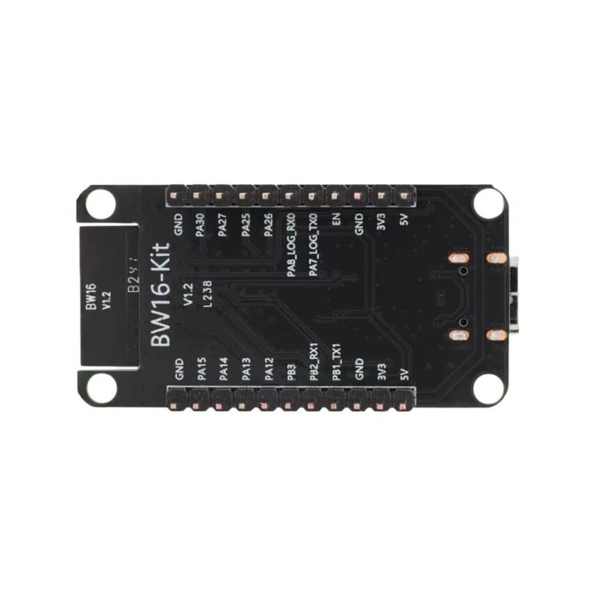 BW16 CH340 Wifi ve Bluetooth Modülü - Type C - 2
