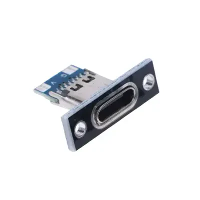 Panel Montajlı Type C Dişi Soket - 2 Pin 