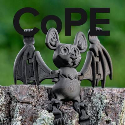 Polymaker Panchroma CoPe Filament - Siyah - 3 data-big=