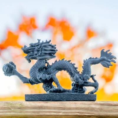 Polymaker Panchroma Dual Special PLA Filament Yin-Yang - 5 data-big=