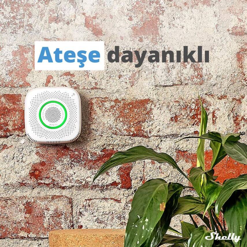 Shelly GAS Akıllı CNG Gaz Dedektörü - 7