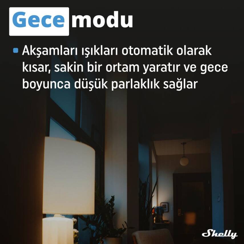 Shelly Plus RGBW PM Akıllı LED Renk ve Parlaklık Kontrol Rölesi - 5