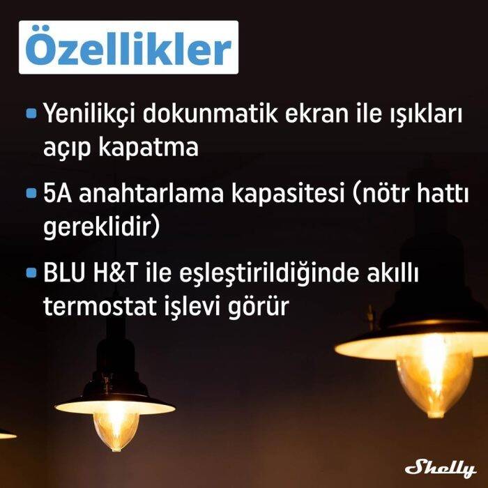 Shelly Wall Display & BLU H&Ta Siyah Merkezi Kontrol Panel Seti - 2