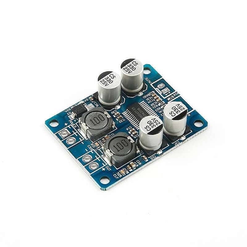 TPA3118 Mono Dijital Amplifikatör Modülü 60W - 1