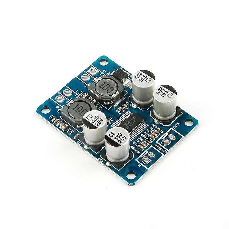 TPA3118 Mono Dijital Amplifikatör Modülü 60W - 2