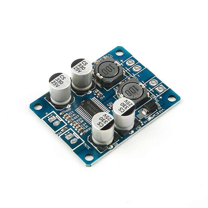 TPA3118 Mono Dijital Amplifikatör Modülü 60W - 3